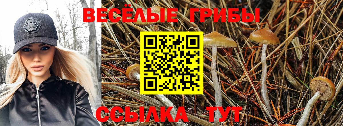 Псилоцибиновые грибы MAGIC MUSHROOMS Мариинск